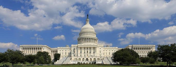 US Capitol Picture
