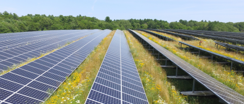 Iowa Solar Array in field
